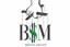Bsm Media Group